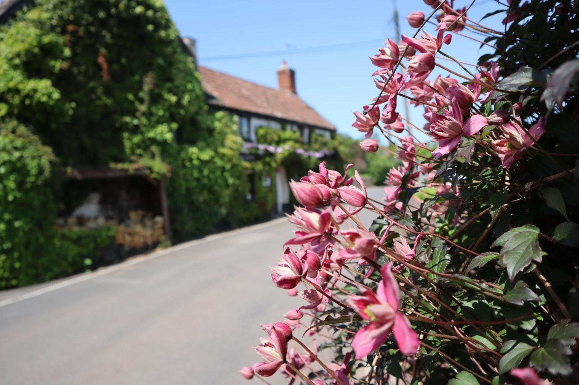 The White Horse Inn Washford Eksteriør billede